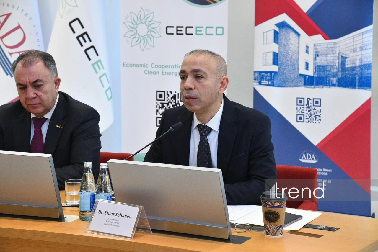 Azerbaijan reveals electricity share of its gas consumption