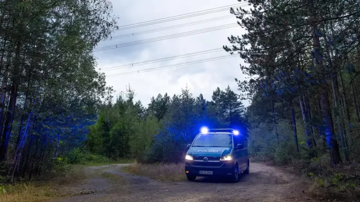 Germany finds nine more homemade explosive devices near power lines