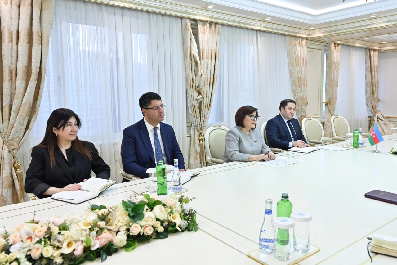 Speaker of Azerbaijani Parliament meets with Greek ambassador (PHOTO)