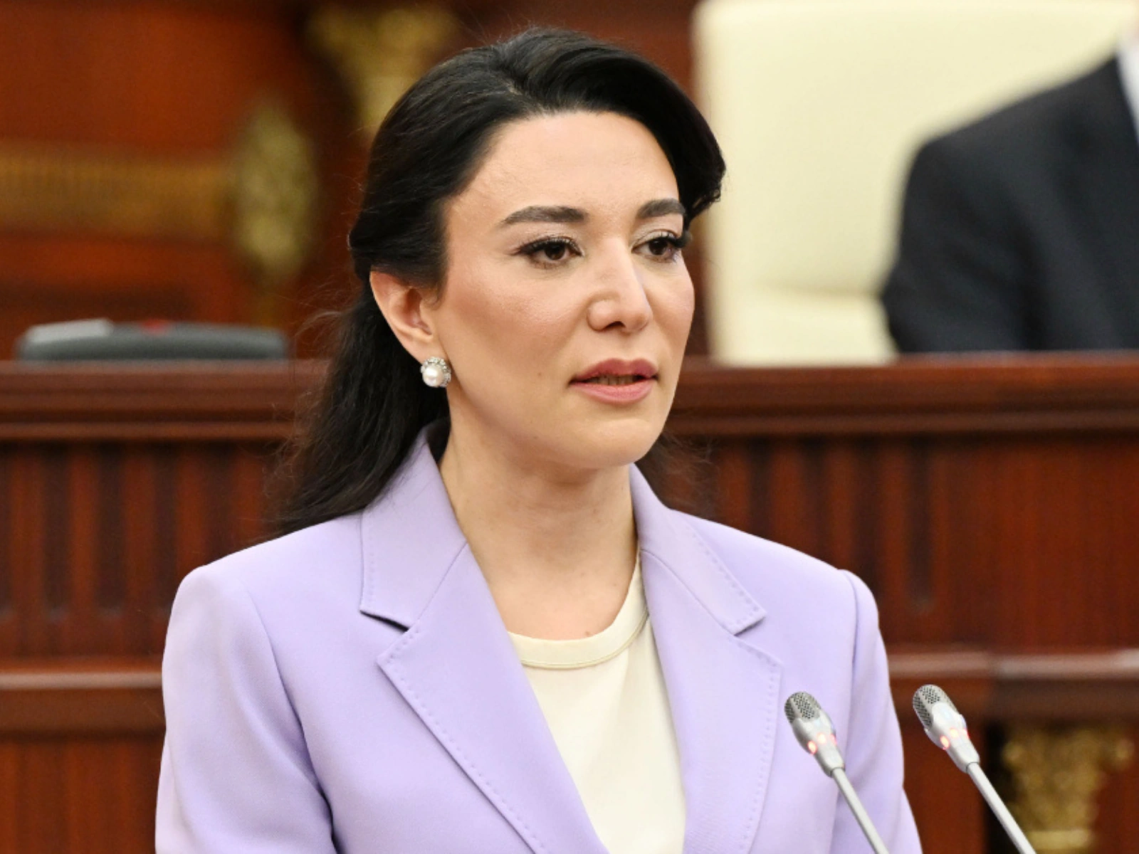 Azerbaijani Parliament adopts Ombudsperson's report