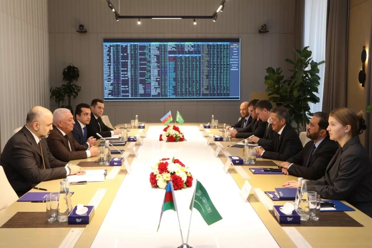 Azerenerji, ACWA Power team up on wind power integration