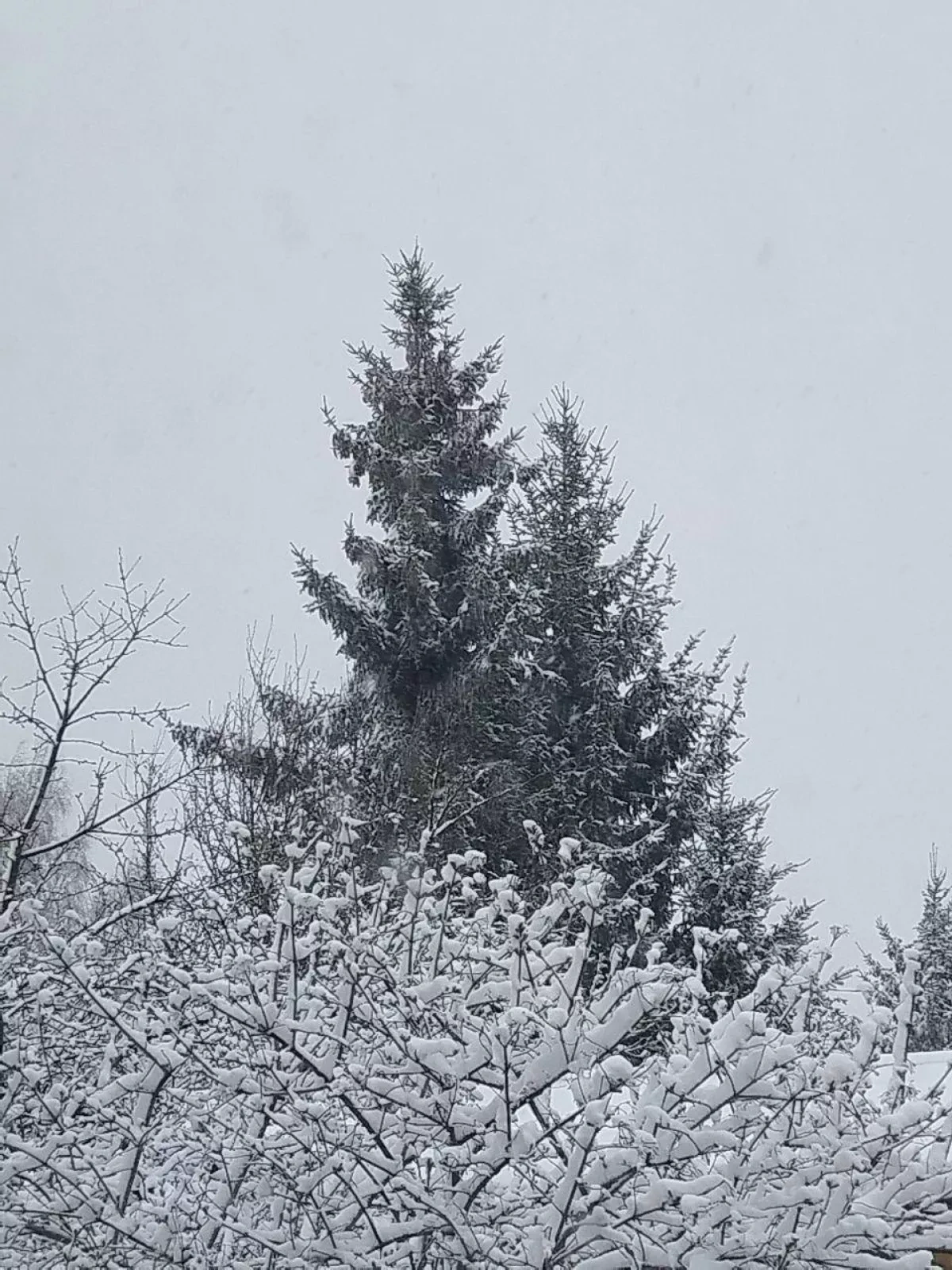 Moscow blanketed in snow amid sudden April weather shift PHOTO / VIDEO