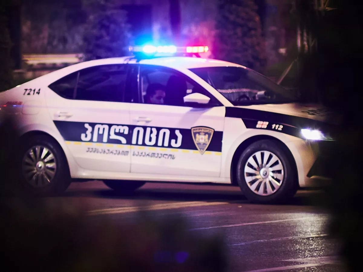 Tbilisi police arrest participants in protest outside city council VIDEO