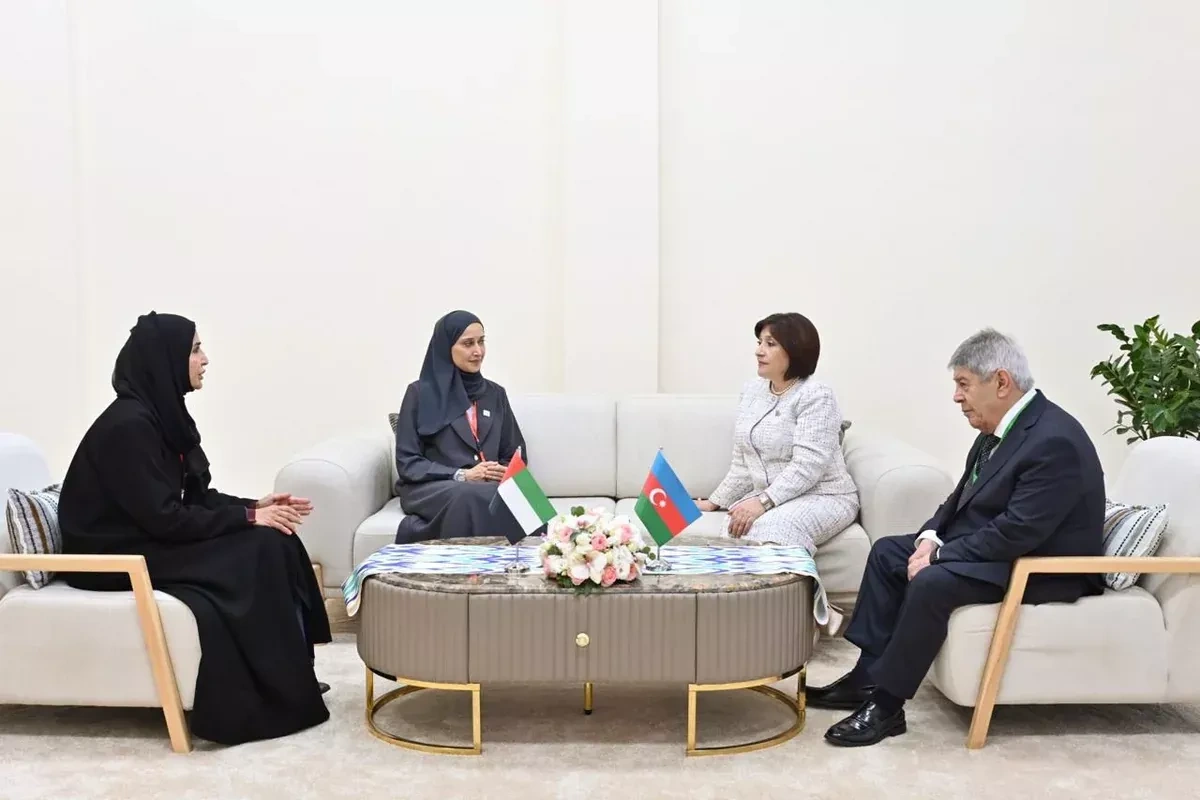 Azerbaijan, UAE review cooperation in global organizations PHOTO
