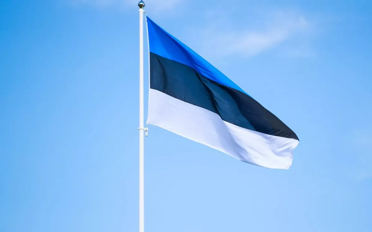 Multiple unknown drones trigger air alert in Estonia