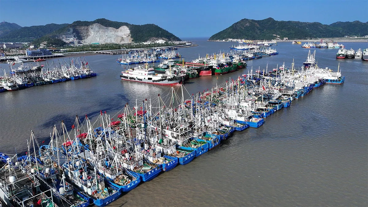 Typhoon Dolphin paralyzes China’s key shipping hubs ahead of landfall