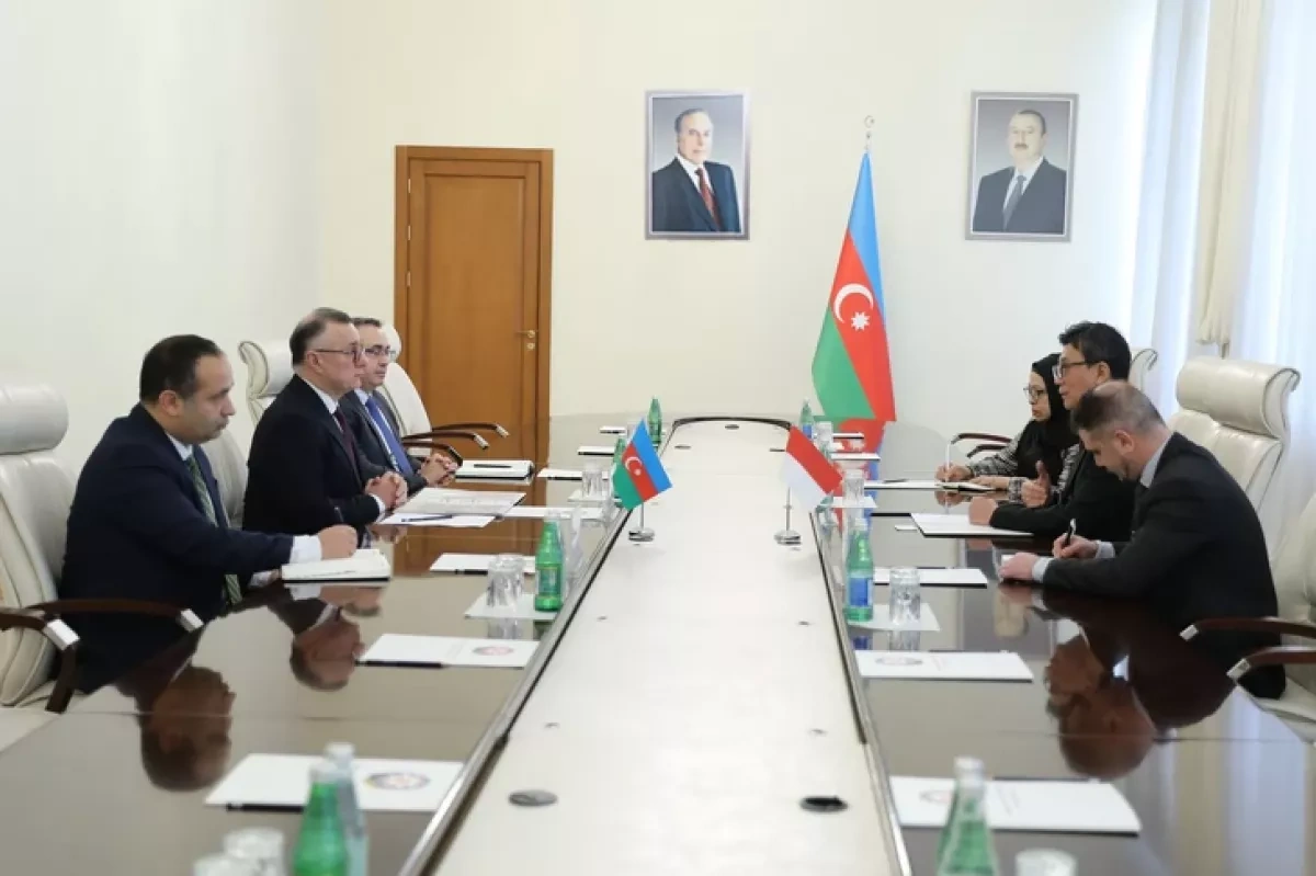 Azerbaijan, Indonesia eye expanded medical cooperation PHOTO
