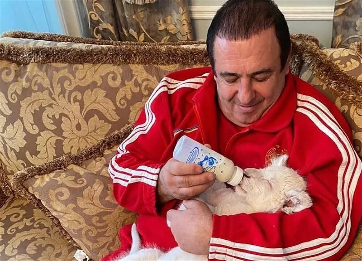 Armenian oligarch’s mansion raid ends with three lions and tiger seized VIDEO