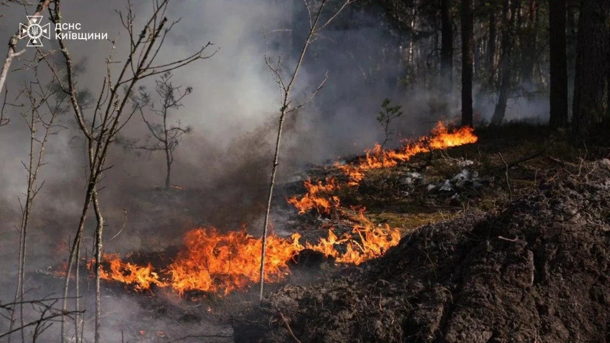 Ukraine: Chernobyl wildfire expands beyond 1,100 hectares PHOTO