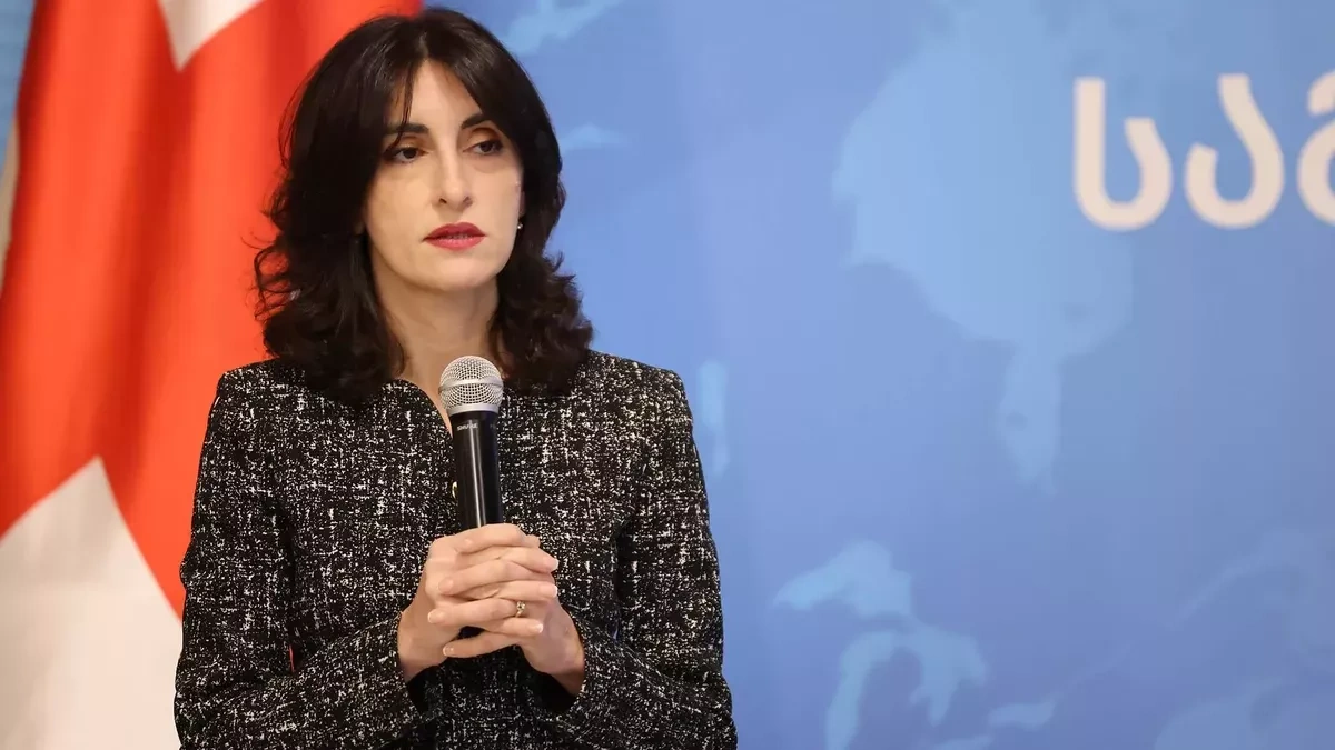 Georgia could have “disappeared” if it joined war against Russia,  FM says