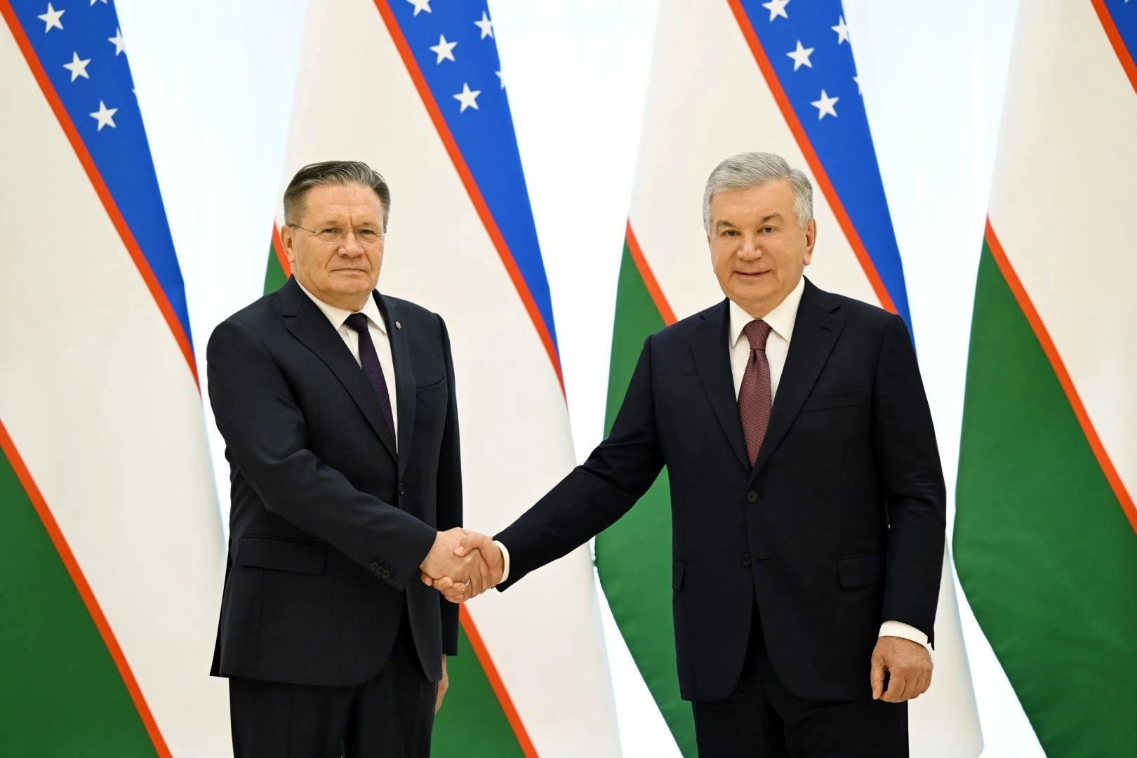 Uzbek president, Rosatom head discuss first nuclear power plant