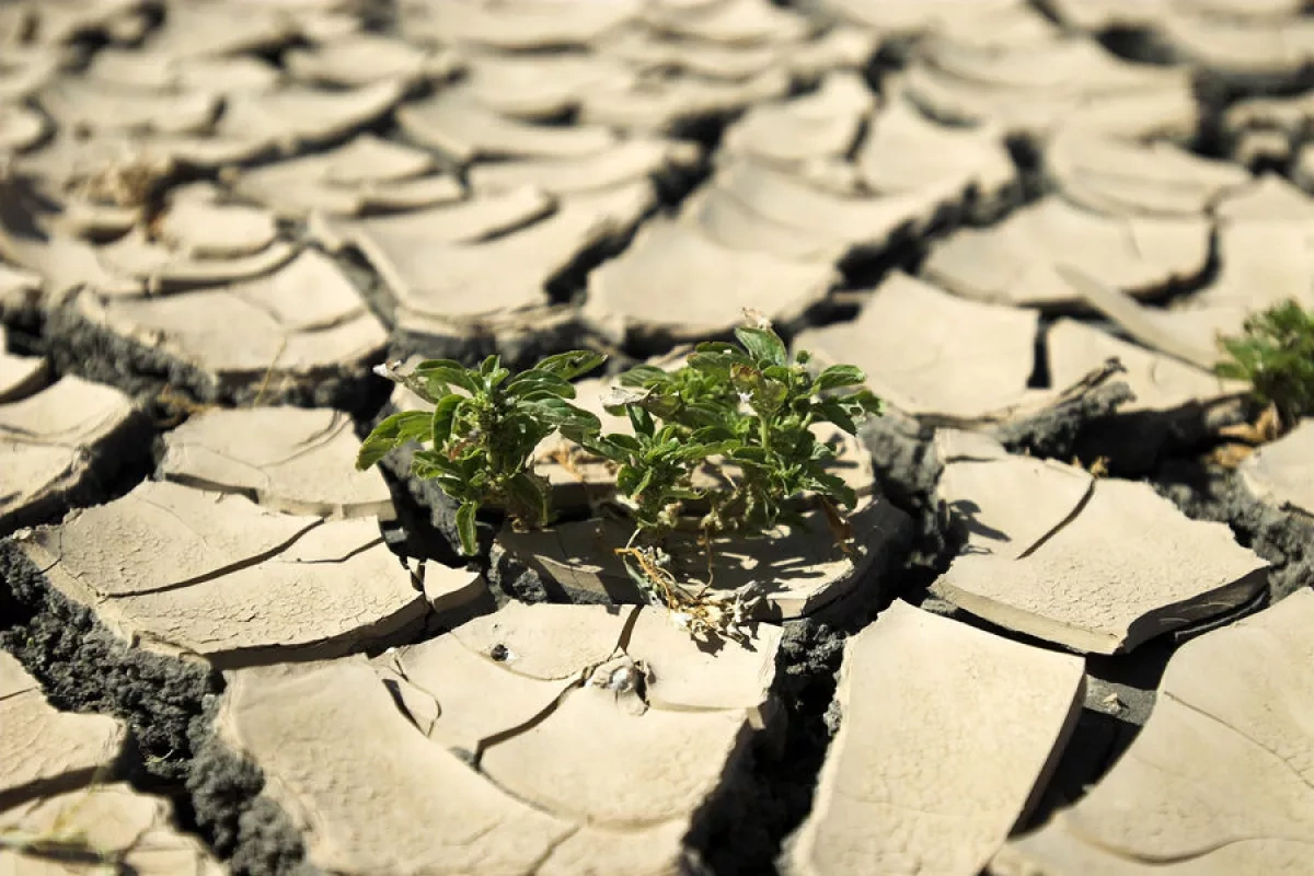 France's heatwave matches 43-year record for duration