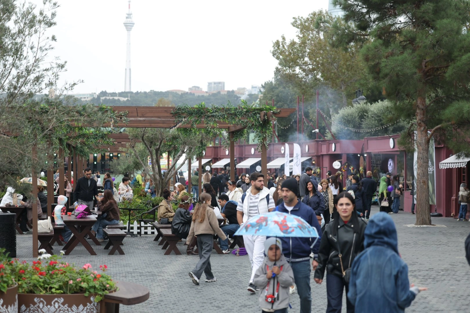 Olive Festival continues in Baku despite rainy weather (PHOTO)