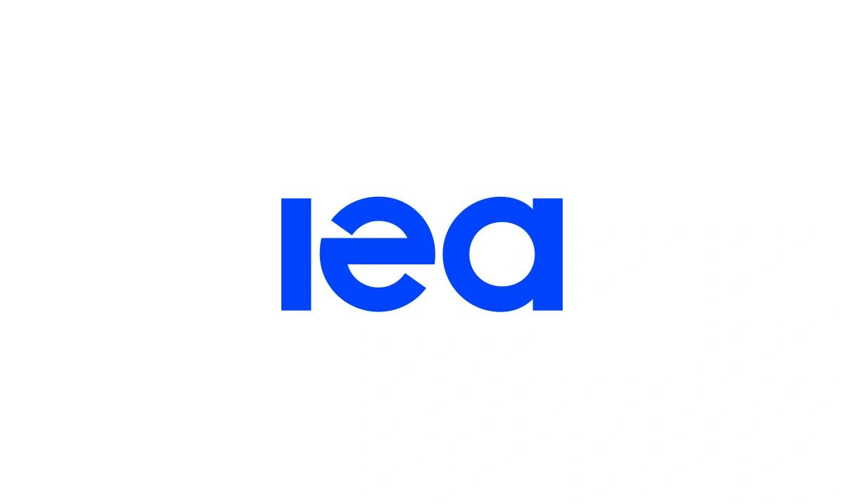 IEA predicts 1/3 share of electricity supply in global energy consumption by 2035