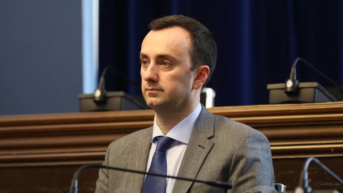 MP: EU unlikely to suspend visa-free travel with Georgia in years to come