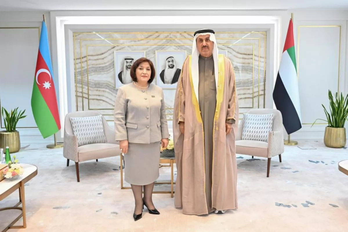Azerbaijan, UAE emphasise expanding cooperation at parliamentary level photo