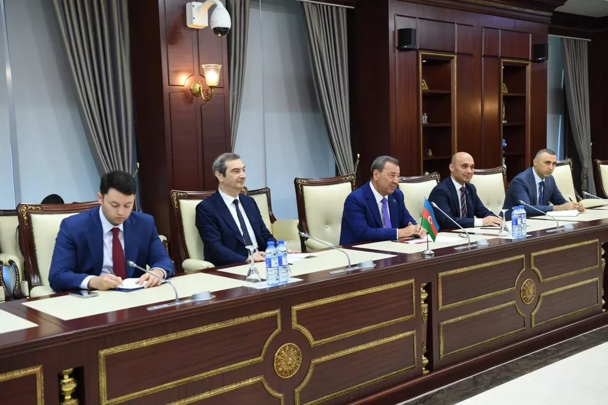 Azerbaijan, OSCE PA explore peace in South Caucasus PHOTO