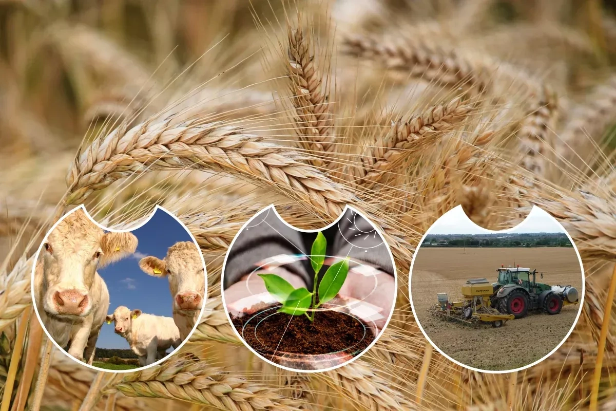 Azerbaijan unveils 2026–2030 agricultural strategy in Guba meeting