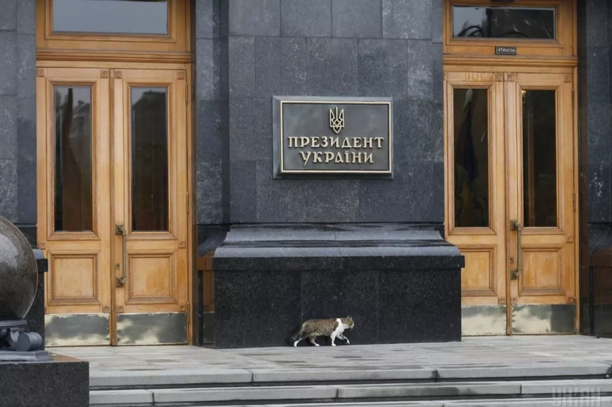 Zelenskyy’s Gordian Knot Elections and referendum in Ukraine