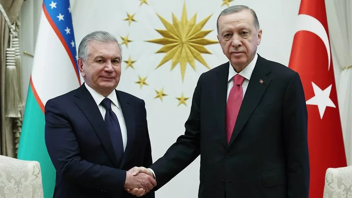Türkish president reaffirms Ankara's commitment to strengthening OTS
