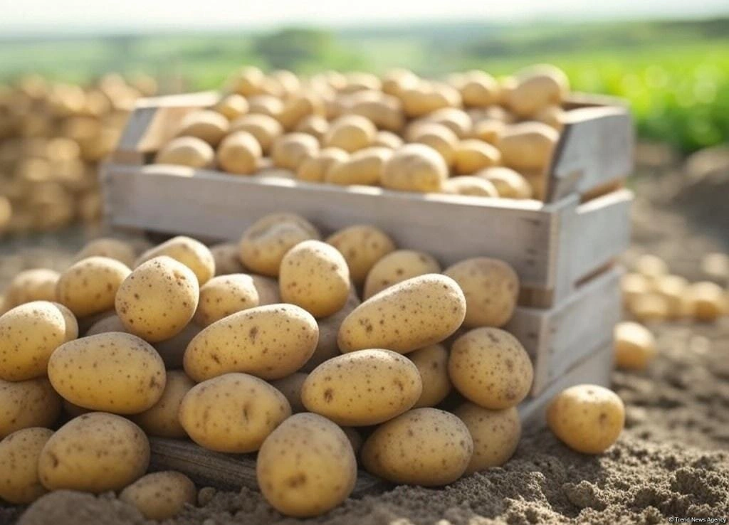 Iran suspends potato exports in response to soaring prices