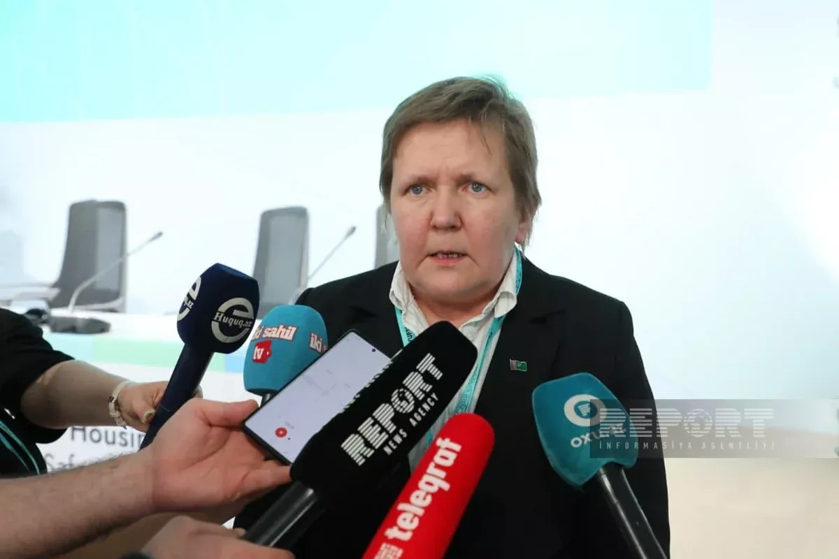 Turkmenistan adopts Azerbaijan’s green energy practices, official says