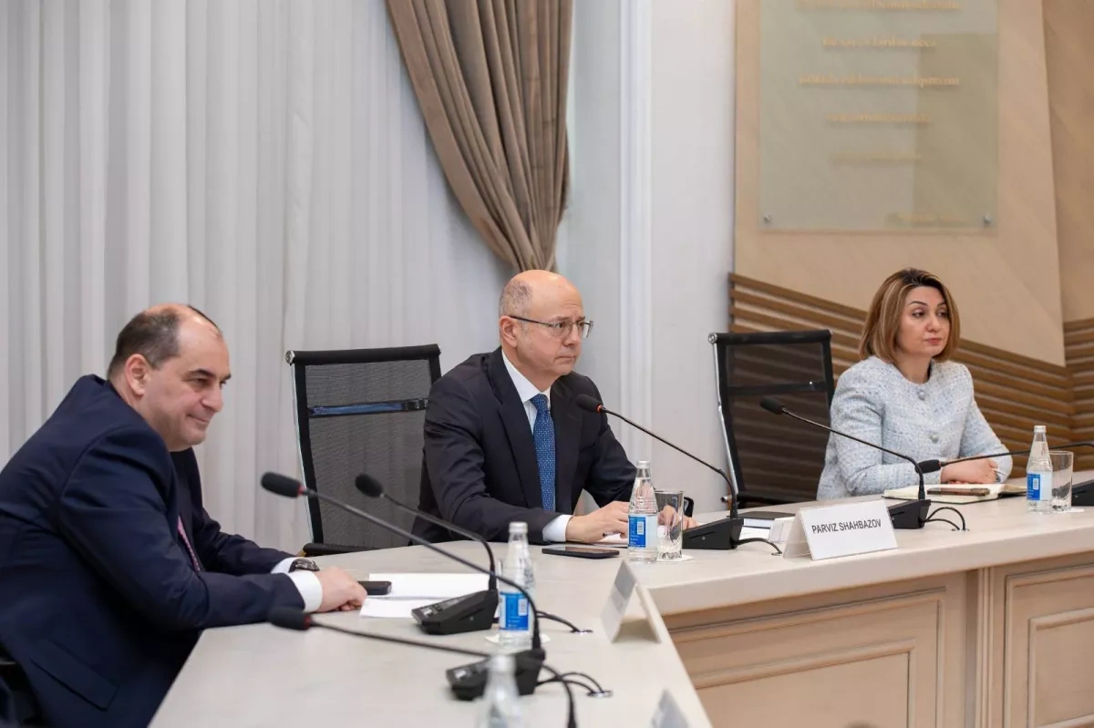 Azerbaijan, PowerChina discuss 160 MW solar plant cooperation Photo