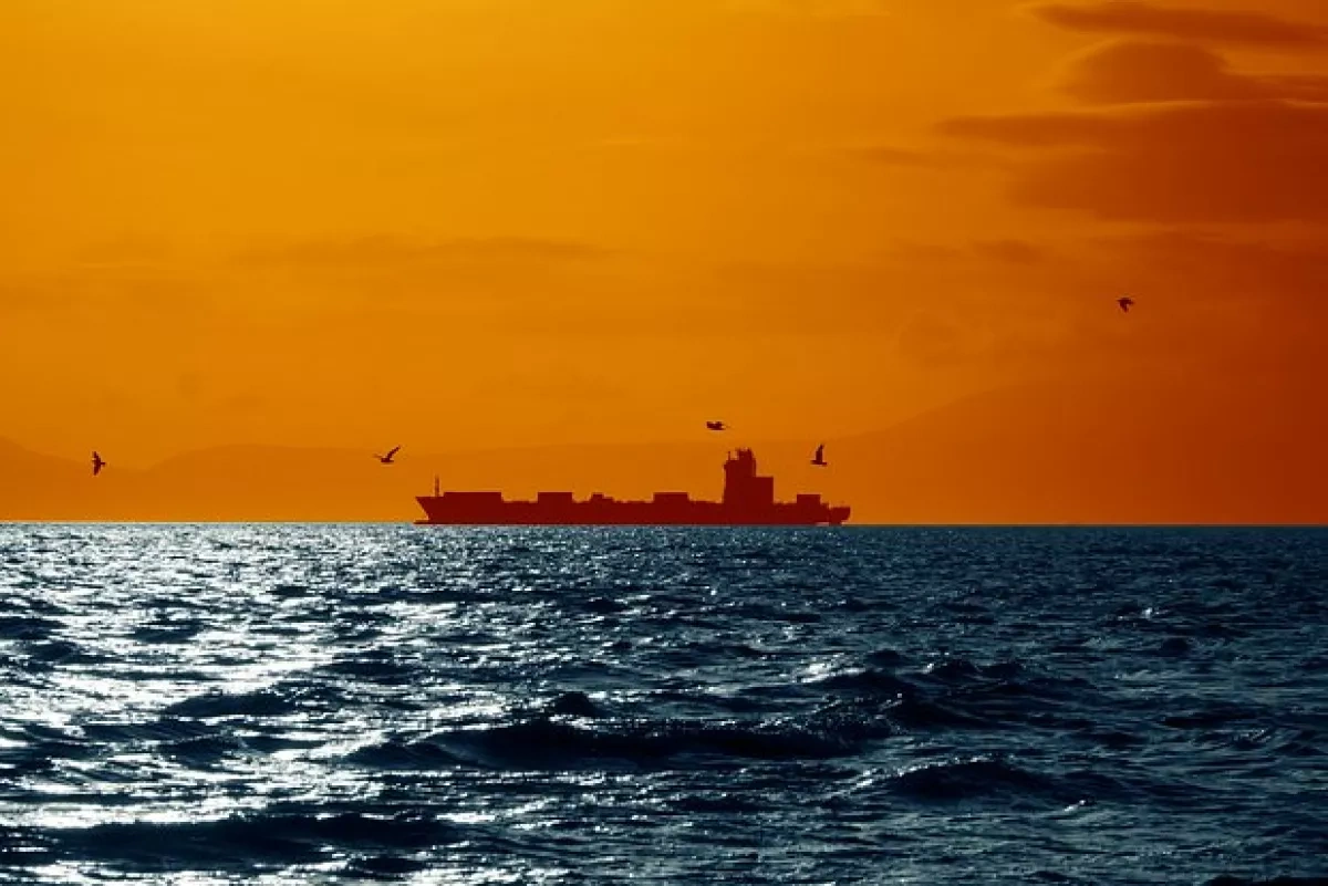 Crew of drone-hit Turkish cargo ship evacuated to Russia