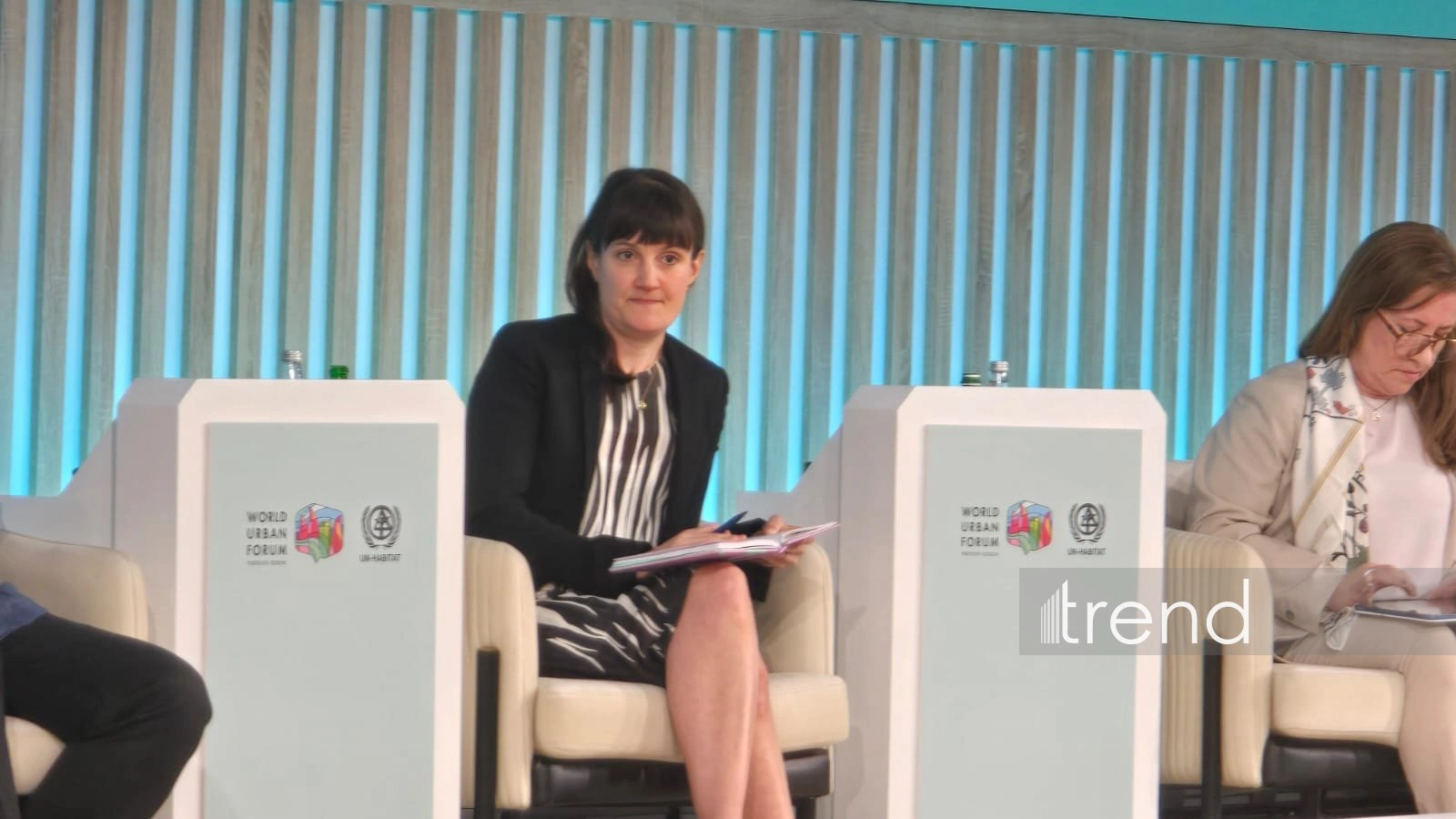 IIED Director warns temporary shelters likely to evolve into long-term systemic crises