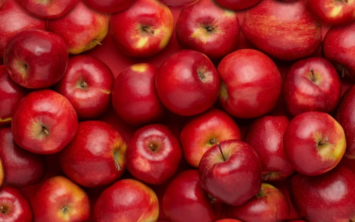 Azerbaijan exports nearly $18 million in apples