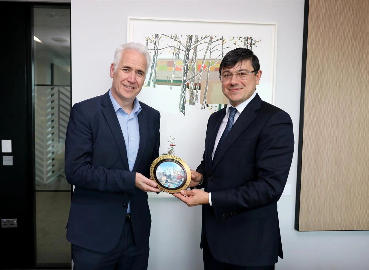 Azerbaijan, Ireland discuss strengthening ties between diasporas (PHOTO)