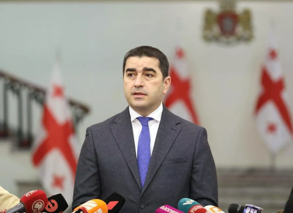Georgia vows to expose EU "false narratives," defend national interests