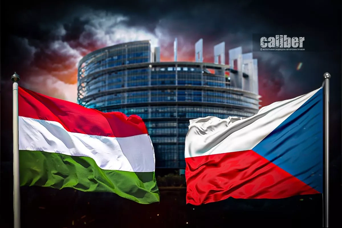 Erosion of authority: Czechia and Hungary challenge the EU The Migration Pact as a point of division