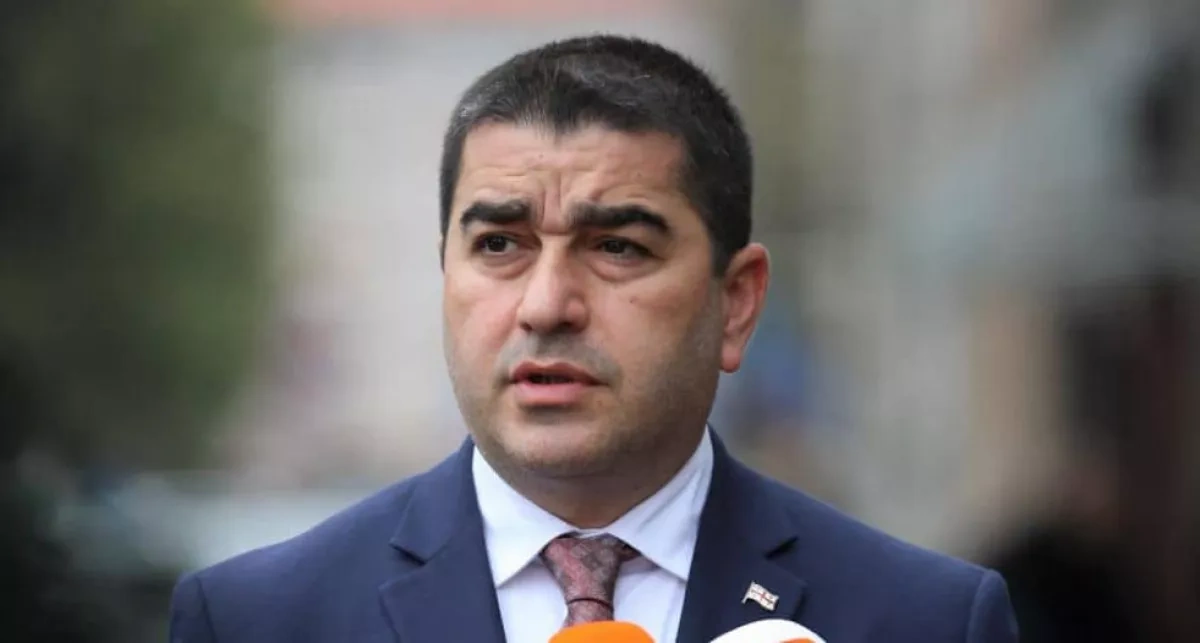 Georgia rejects foreign political influence, parliament speaker says