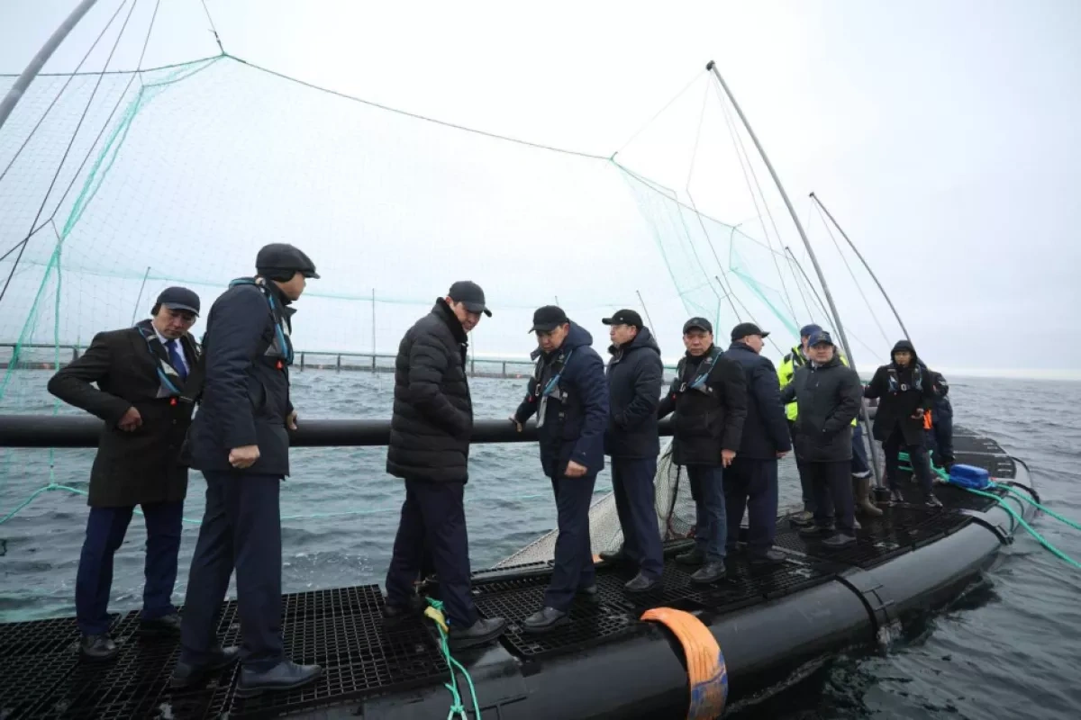 Kazakhstan launches first marine fish farm in Central Asia PHOTO