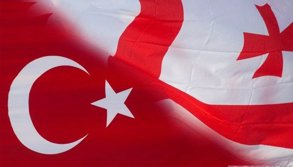 Georgia and Türkiye launch e-permit system for freight transport