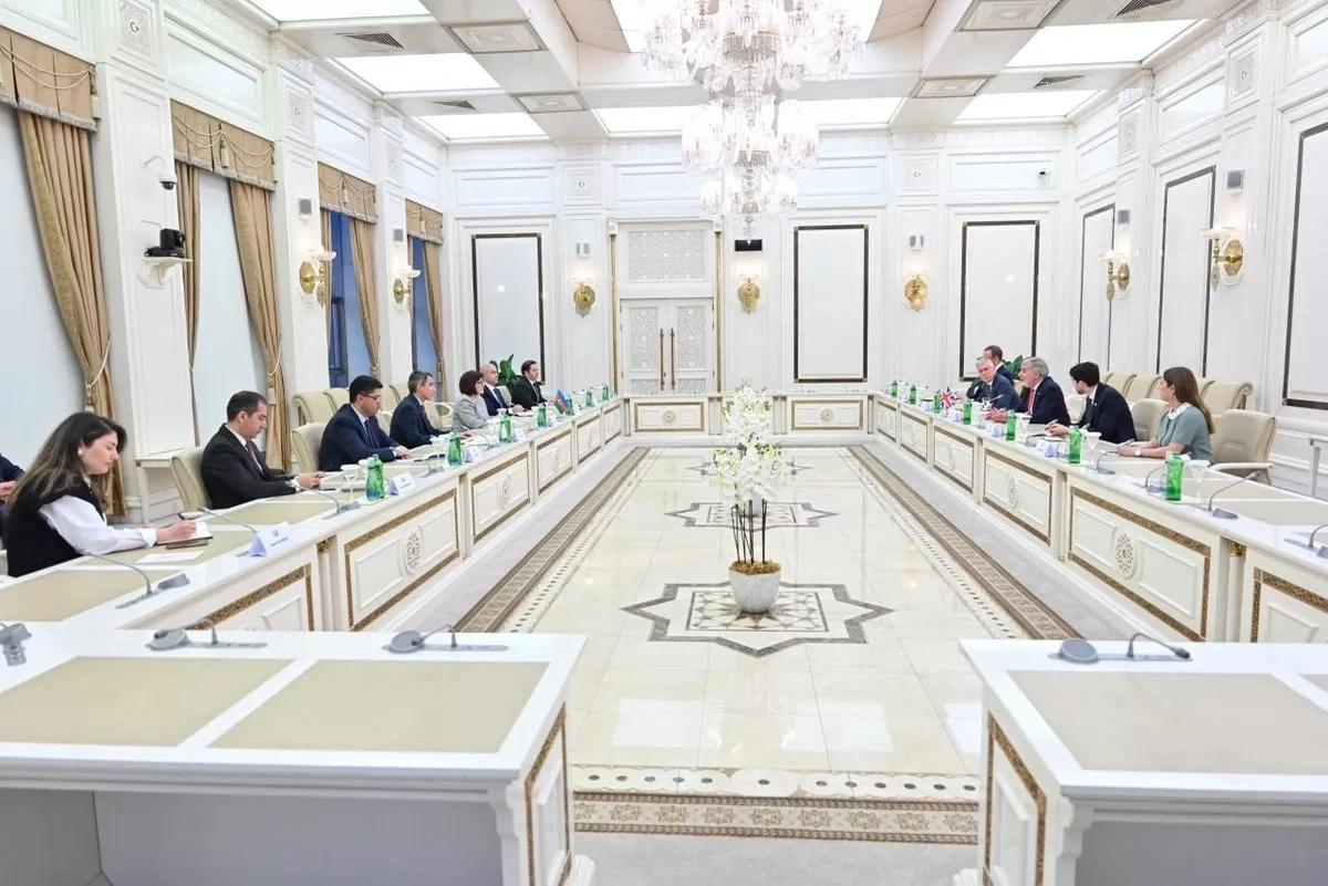 Azerbaijani parliament chairperson, UK trade envoy discuss bilateral ties Photo