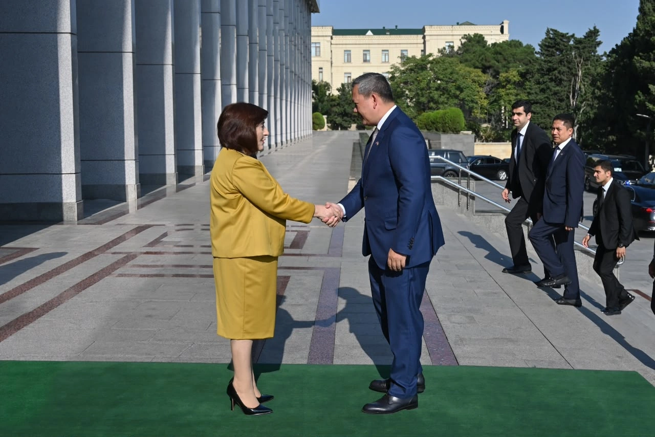 Azerbaijan, Cambodia discuss cooperation in global organizations (PHOTO)
