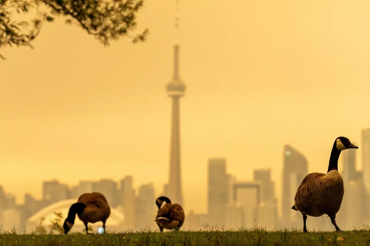 Canadian wildfire smoke triggers air warnings across US PHOTO