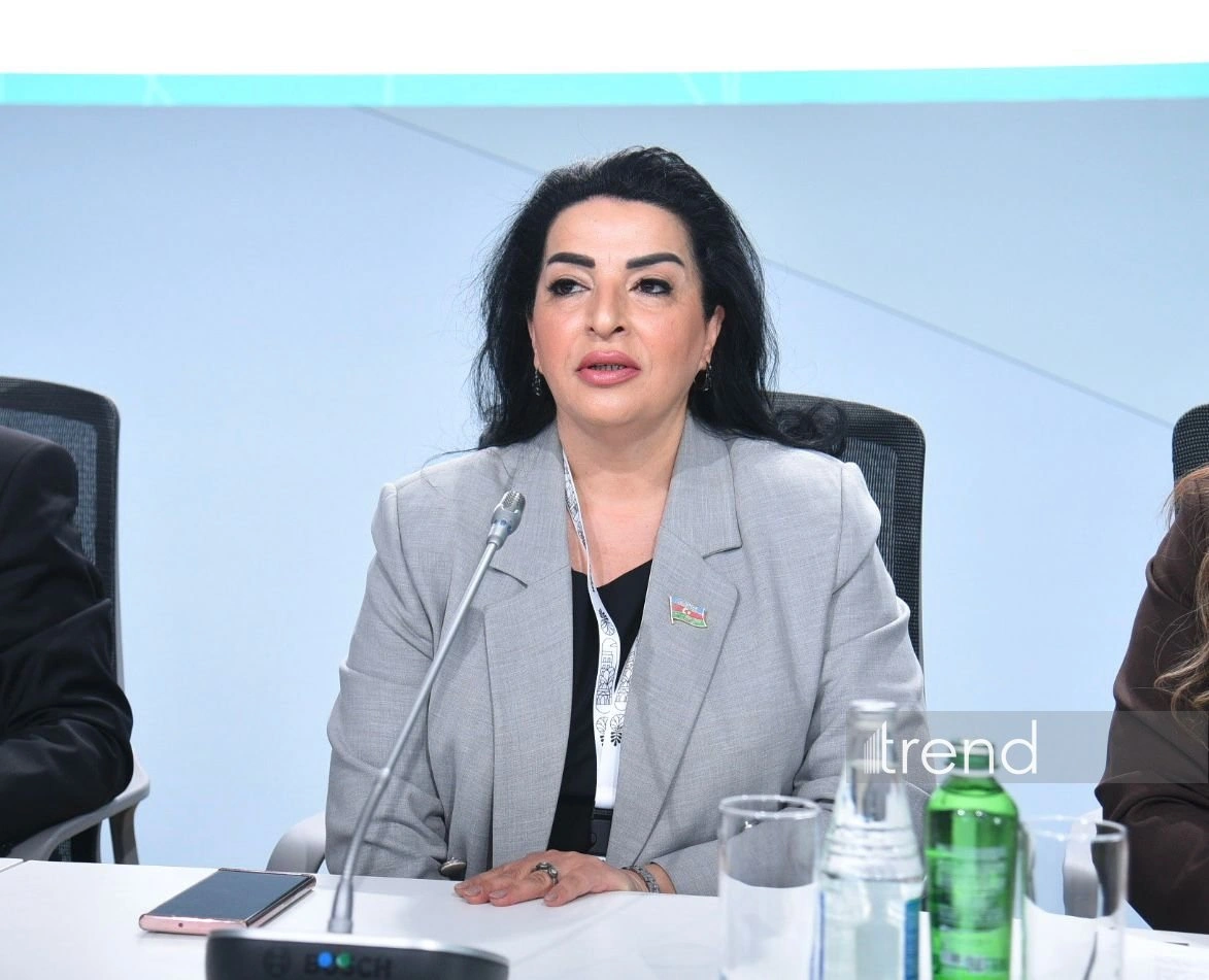 Karabakh smart cities demonstrate Azerbaijan’s sustainable dev't model, MP says