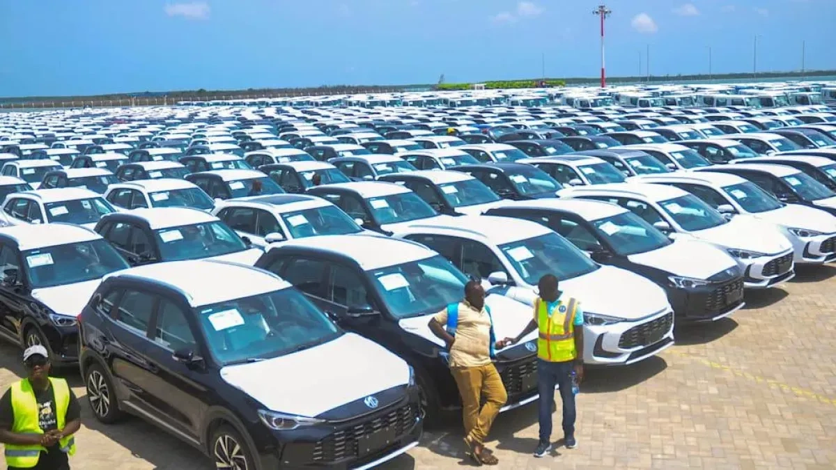 Thousands of German cars stranded on Lamu island