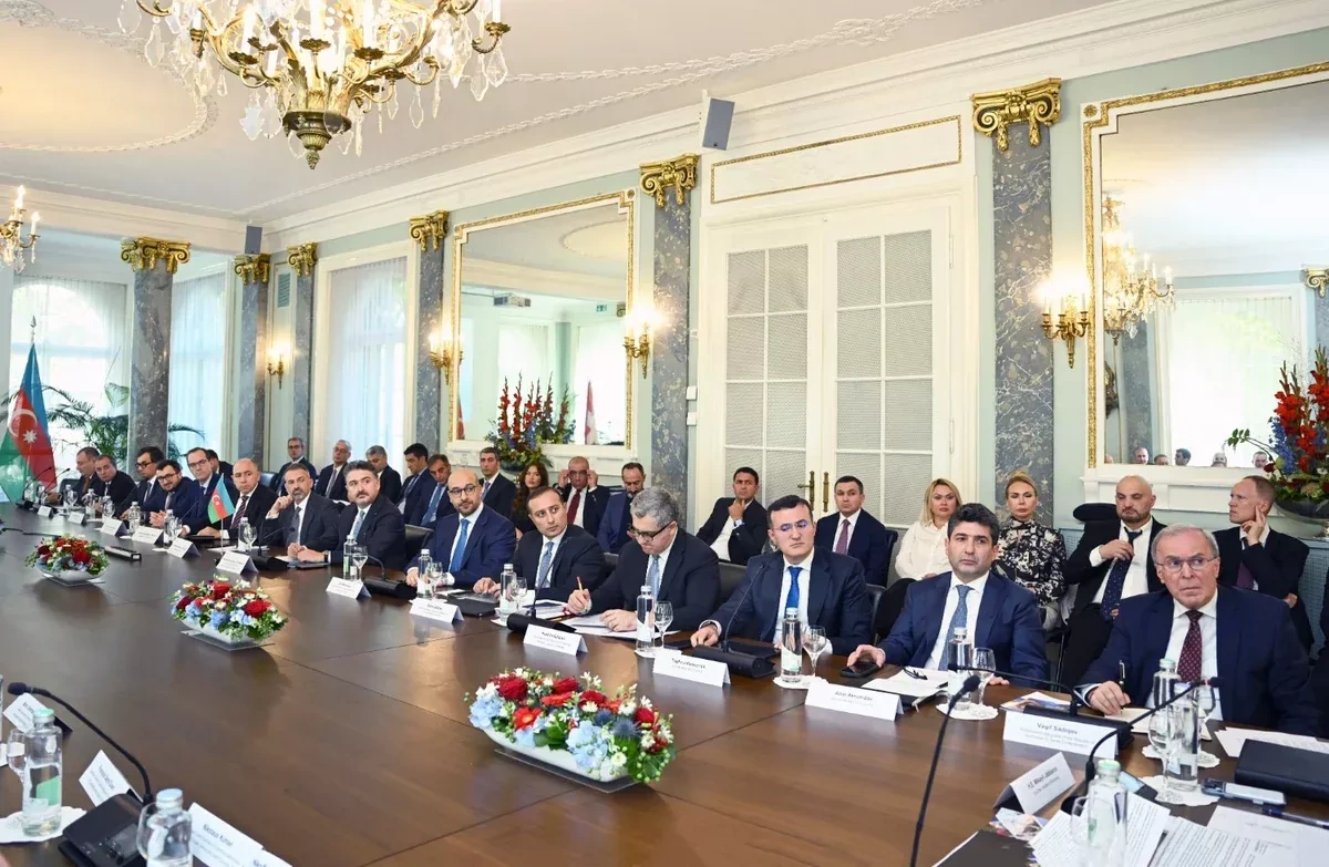 Azerbaijani minister presents investment opportunities to Swiss businesses PHOTO