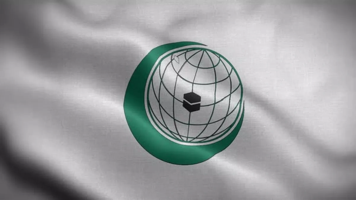 OIC hails US-Iran ceasefire as step toward regional stability