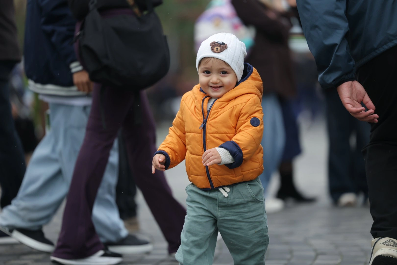 Olive Festival continues in Baku despite rainy weather (PHOTO)