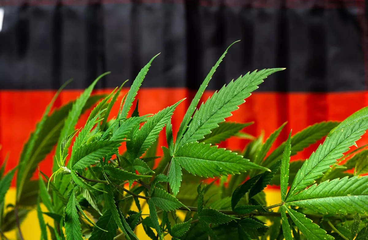New study shows Germany’s cannabis reform remains controversial two years on