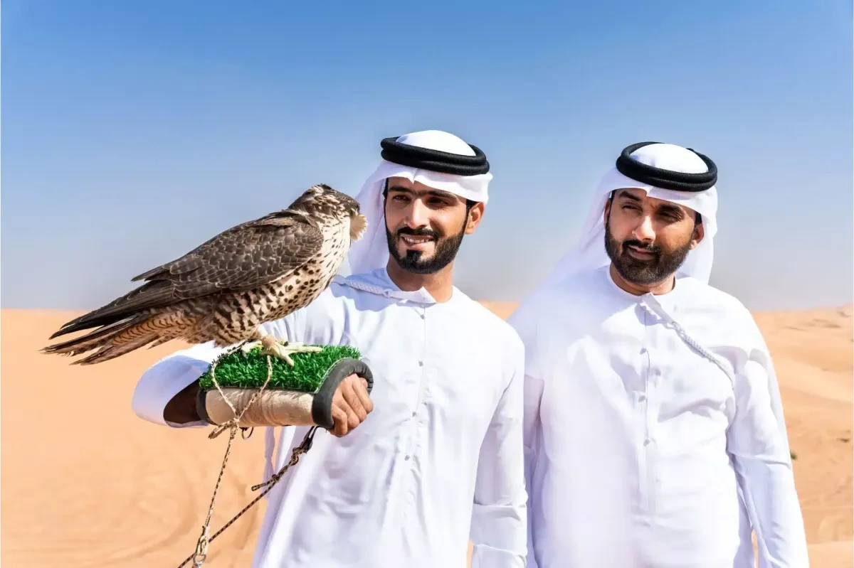 UAE slams door on illegal falcon trade with sweeping legal overhaul