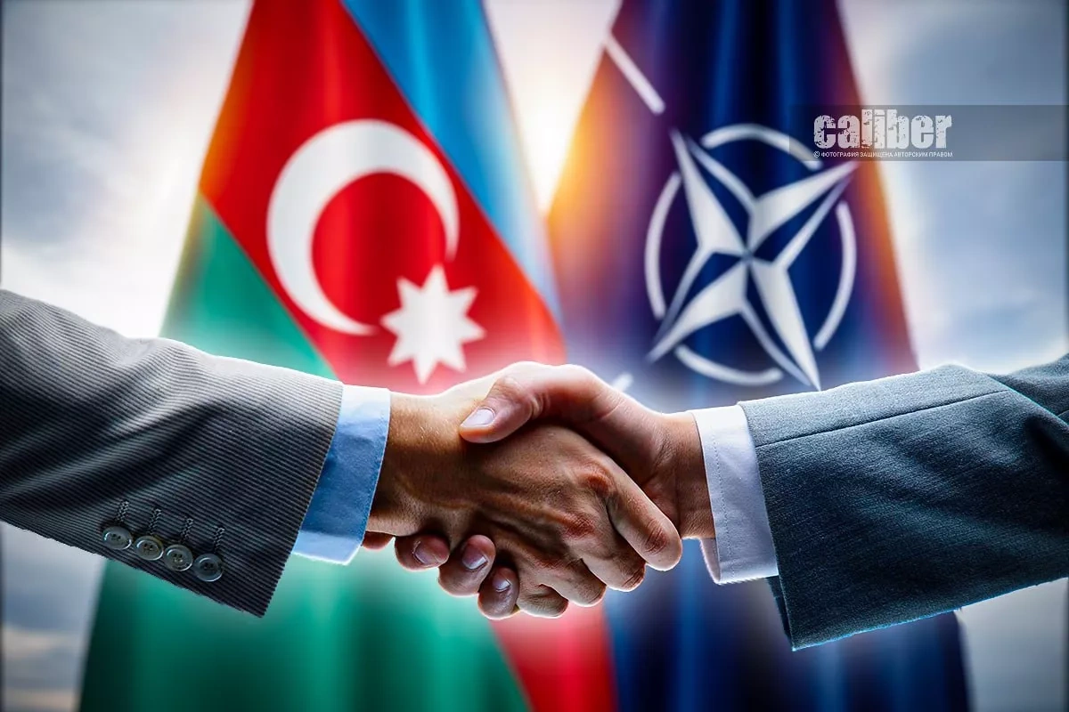 NATO–Azerbaijan: energy, security, and geopolitics Expert opinions on Caliber.Az