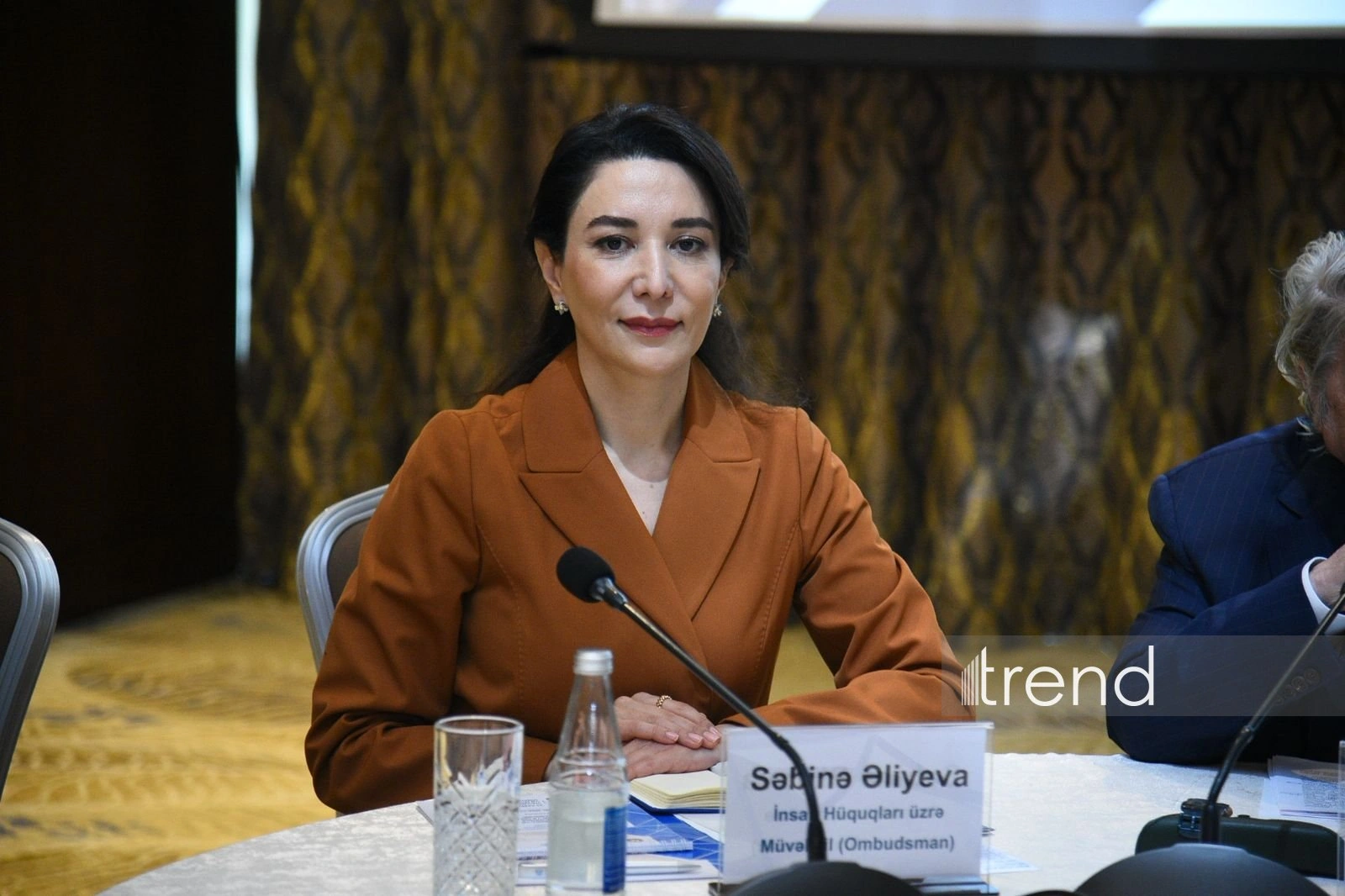 Azerbaijani ombudsperson calls for objectivity, legal standards in intellectual property protection