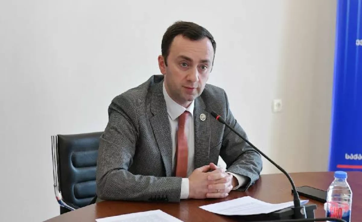 Georgia’s opposition party ban case heads toward January ruling