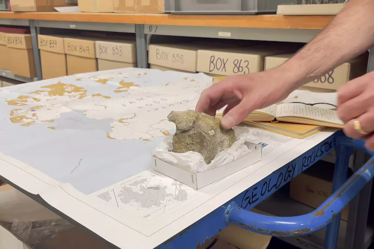Antarctica's first found dinosaur fossil confirmed nearly 40 years after discovery